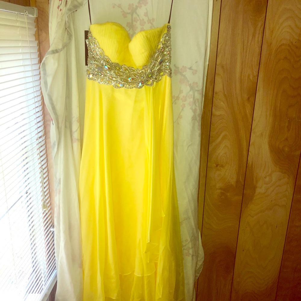 Alyce Paris dress